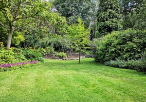 Optimiser l'expérience du jardin à Le Mesnil-Thomas