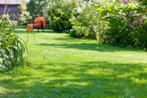 travaux jardin et paysage Le Mesnil-Thomas